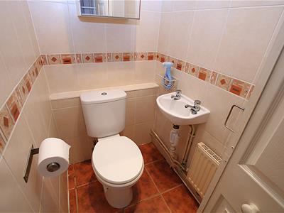 Picture 11